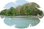 SIÓFOK - Kiadó szálláshelyek SIÓFOK - Kiadó szálláshelyek